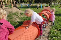 IMG_20261005_103128