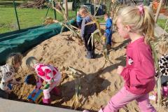 IMG_20261006_102414