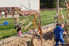 IMG_20261006_102448