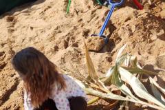 IMG_20261006_104131