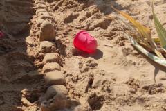 IMG_20261006_110814