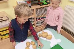 IMG_20261007_064830356_AE