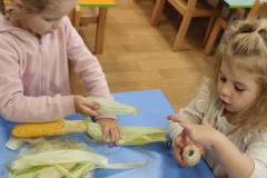 IMG_20261007_072414