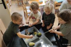 IMG_20251010_102852
