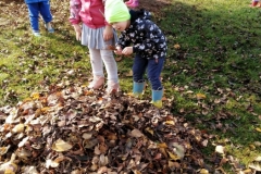 IMG_20191023_104356