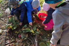 IMG_20211008_100109