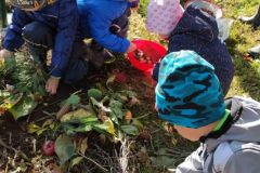 IMG_20211008_100111