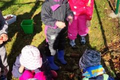 IMG_20211008_100120