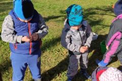 IMG_20211008_100123