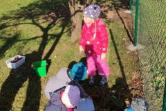 IMG_20211008_100126