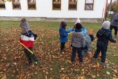 IMG_20211108_104519