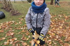 IMG_20211108_104608