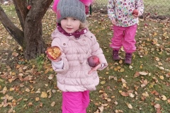 IMG_20211108_104719