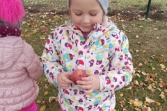 IMG_20211108_104723