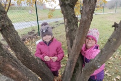 IMG_20211108_104736