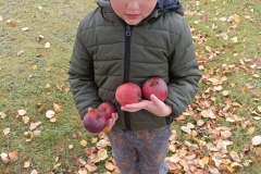 IMG_20211108_104740