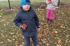 IMG_20211108_104756