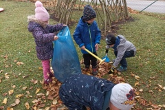 IMG_20211108_104829