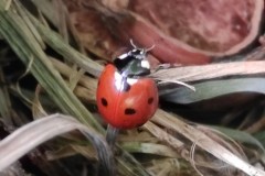 IMG_20210526_105619