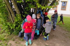 IMG_20210526_105731
