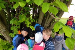 IMG_20210526_105734