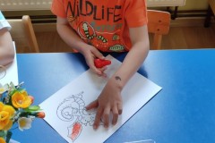 IMG_20210527_074743