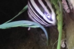 IMG_20210528_104808