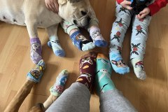 654655407_909404151859651_7454927009187743628_n