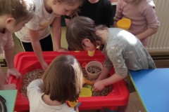 IMG_20220121_094845
