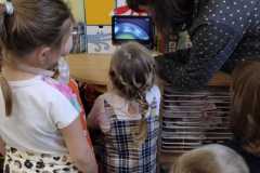 IMG-20230127-WA00051
