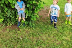 IMG_20210701_103839