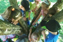 IMG_20210730_095451