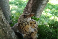 IMG_20210730_095530