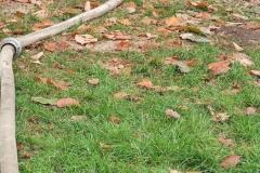 IMG_20241113_093408
