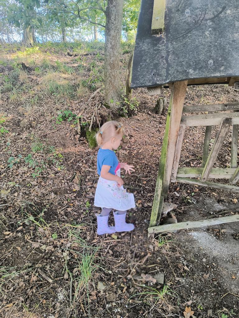 IMG_20260916_102716240_HDR_AE