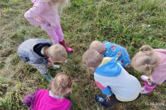 IMG_20260916_100648