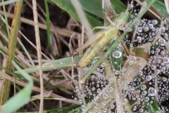 IMG_20260916_102119
