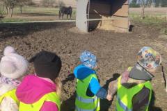 Procházka ke koním