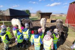 IMG_20251107_1031461