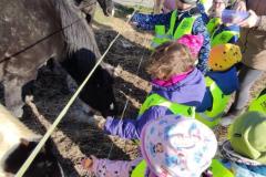 IMG_20251107_1032441