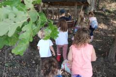IMG_20260930_100023
