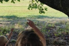 IMG_20260930_100051
