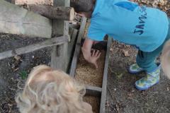 IMG_20260930_100100