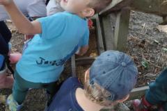 IMG_20260930_100224