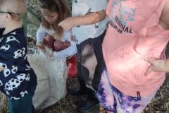 IMG_20260930_100232