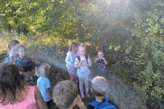 IMG_20260930_101345584_AE