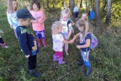 IMG_20260930_102438854_AE