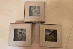 IMG_20251120_074814919_AE