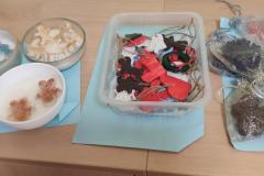 IMG_20251124_071128