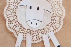 IMG_20230303_073420